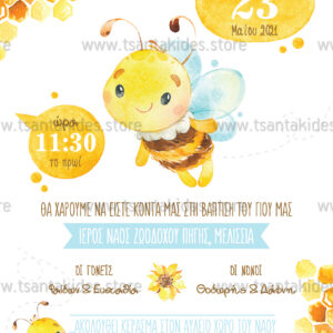 TS prosklitirio vaptisis boy little bee melissa