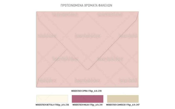 Προσκλητήριο Βάπτισης Για Κορίτσι Με Θέμα Princess Floral TS931