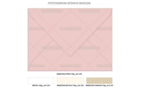Προσκλητήριο Βάπτισης Για Κορίτσι Με Θέμα Boho Woodland TS937