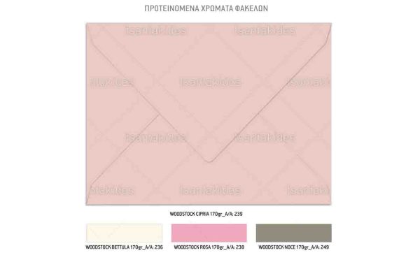 Προσκλητήριο Βάπτισης Για Κορίτσι Με Θέμα Pirate Girl TS942