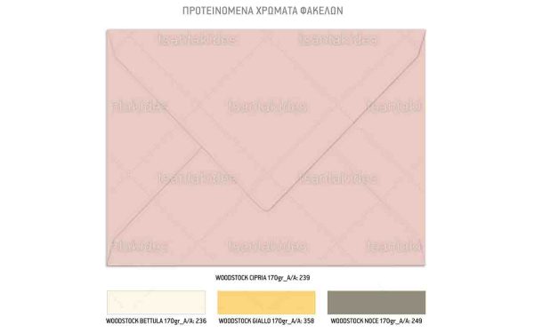 Προσκλητήριο Βάπτισης Για Κορίτσι Με Θέμα  Explorer Girl TS944