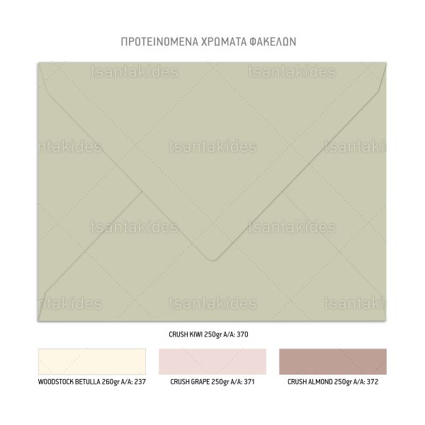 Προσκλητήριο Γάμου Wildflowers TS799